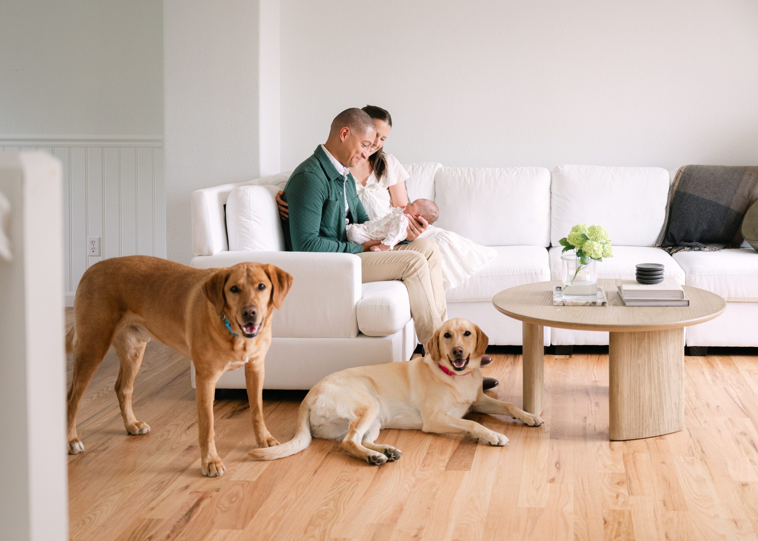 Family sitting in a living room looking at their newborn baby while their two dogs lay beside them.